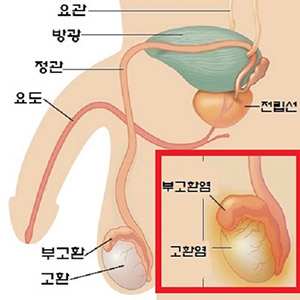 주로 호소하는 증상