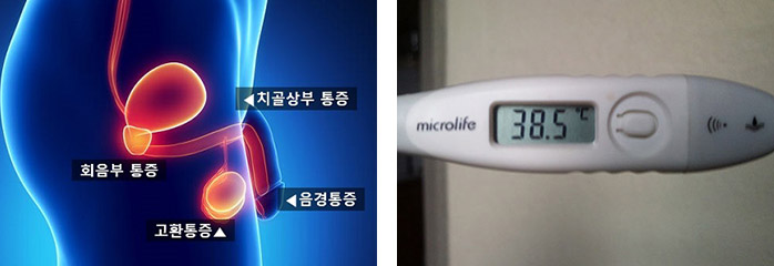 주로 호소하는 증상