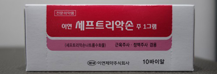 치료 방법 및 주의사항